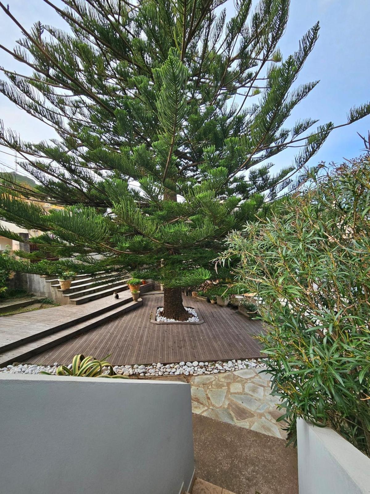 Domaine U Pozzu Apartment Sisco Exterior foto